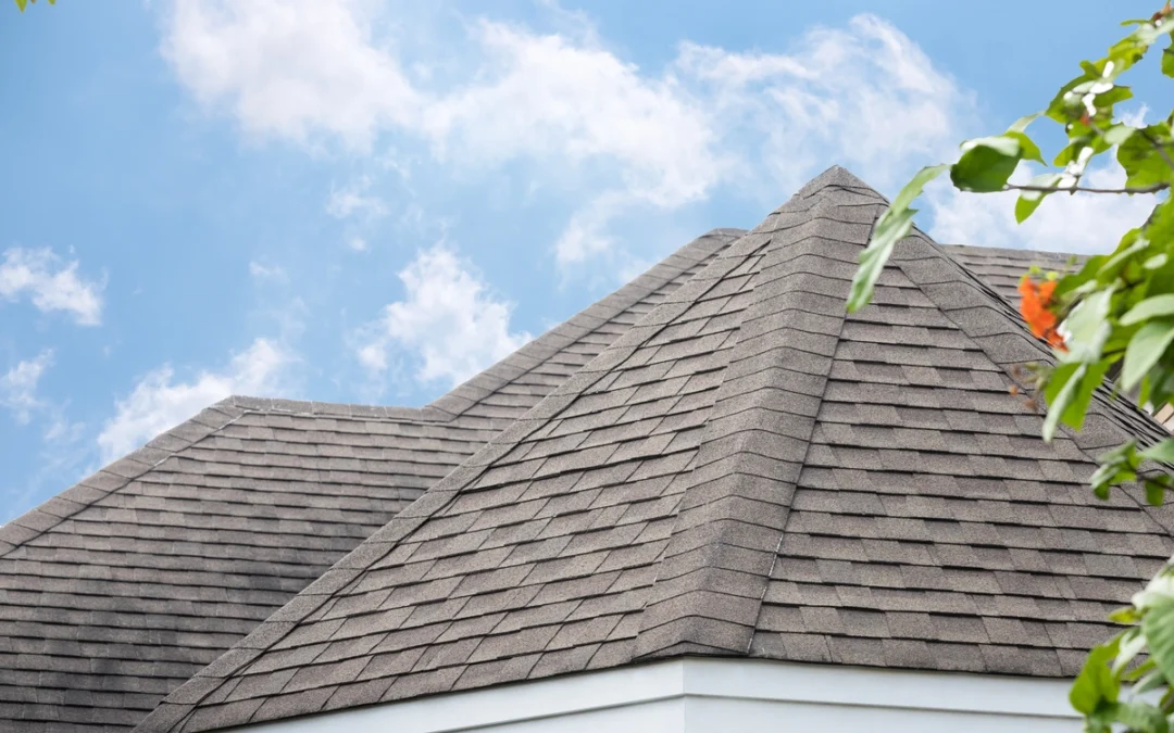 7 Popular Roof Types To Consider For Your Home (2026)